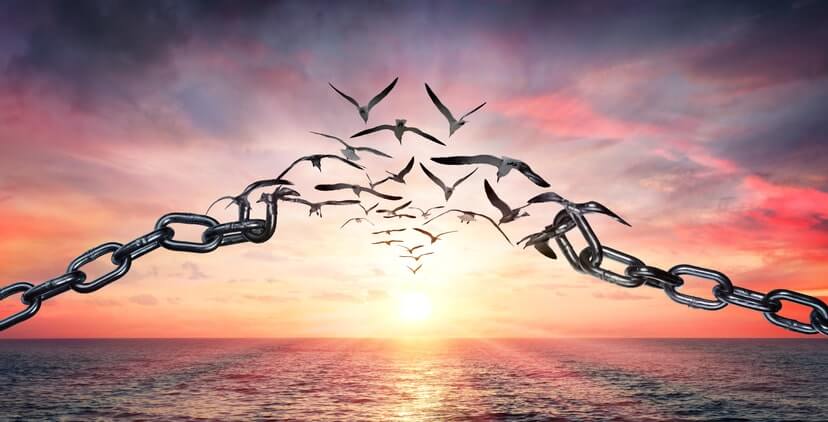 Harvard psychology expert shares the No. 1 thing she sees holding people back from success break free nutra relief
