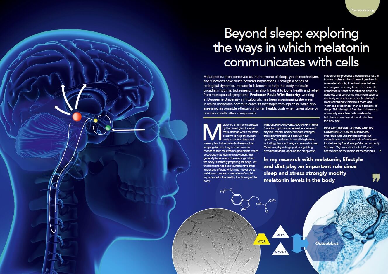 Melatonin, Liposomal creams